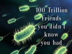 friendly bacteria